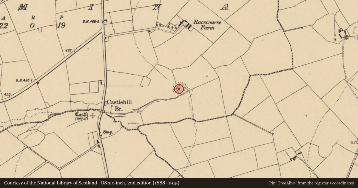 Ordnance Survey six-inch map, 2nd edition (1888–1915) covering the location of Ringfort - rath, Dromina, County Cork, with a pin at the register's coordinates