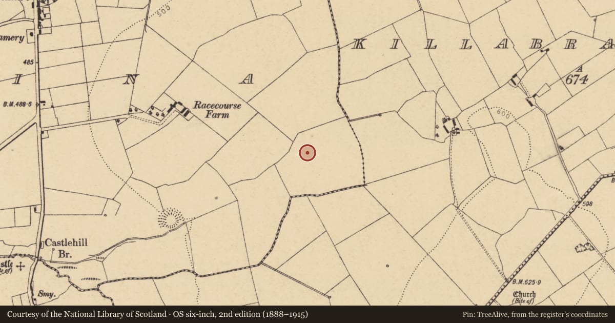Ordnance Survey six-inch map, 2nd edition (1888–1915) covering the location of Fulacht fia, Dromina, County Cork, with a pin at the register's coordinates