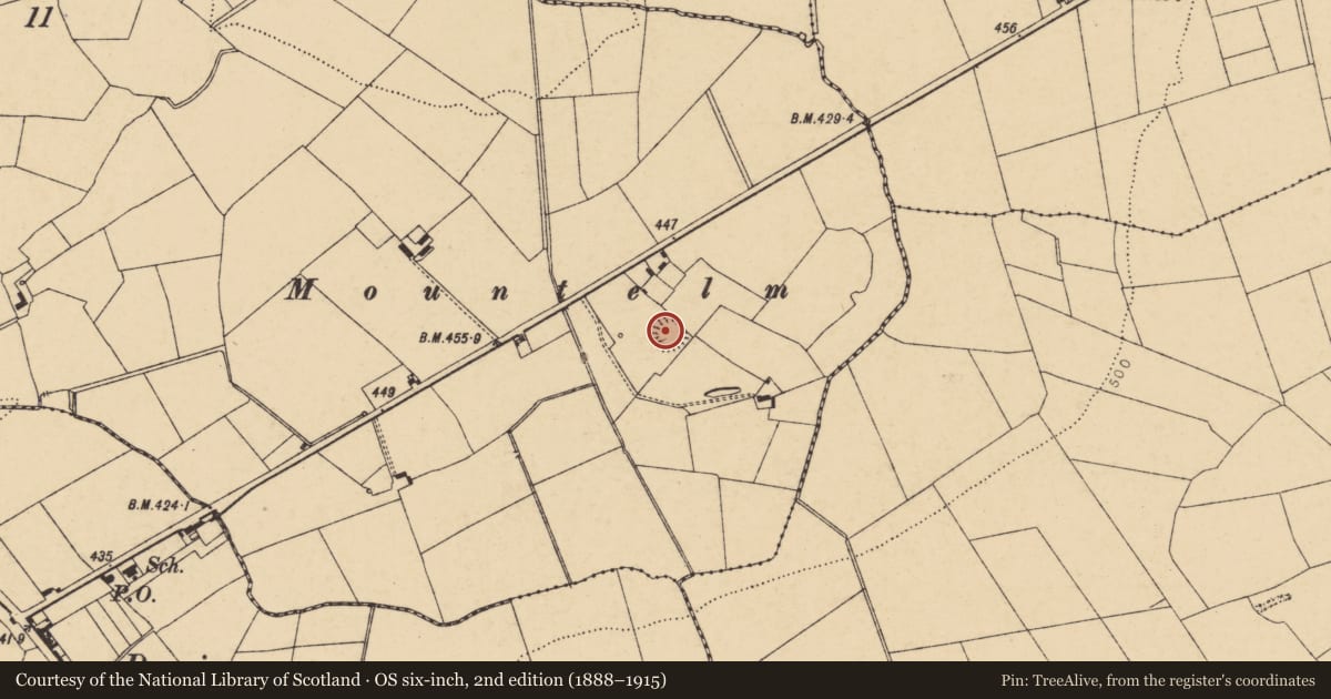 Ordnance Survey six-inch map, 2nd edition (1888–1915) covering the location of Ringfort - rath, Farthingville East, County Cork, with a pin at the register's coordinates