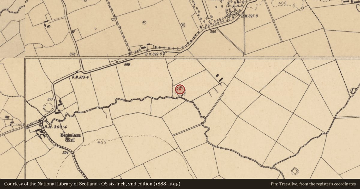 Ordnance Survey six-inch map, 2nd edition (1888–1915) covering the location of Ringfort - rath, Curryglass, County Cork, with a pin at the register's coordinates