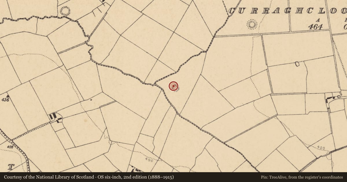 Ordnance Survey six-inch map, 2nd edition (1888–1915) covering the location of Ringfort - rath, Curraghcloonabro West, County Cork, with a pin at the register's coordinates