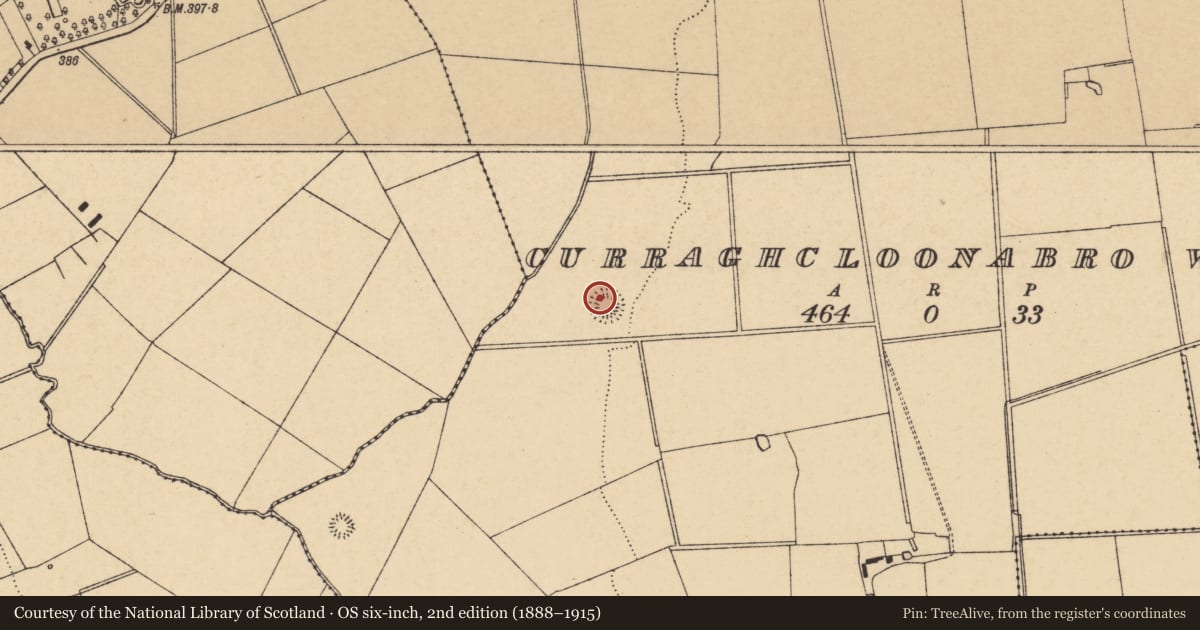 Ordnance Survey six-inch map, 2nd edition (1888–1915) covering the location of Ringfort - rath, Curraghcloonabro West, County Cork, with a pin at the register's coordinates