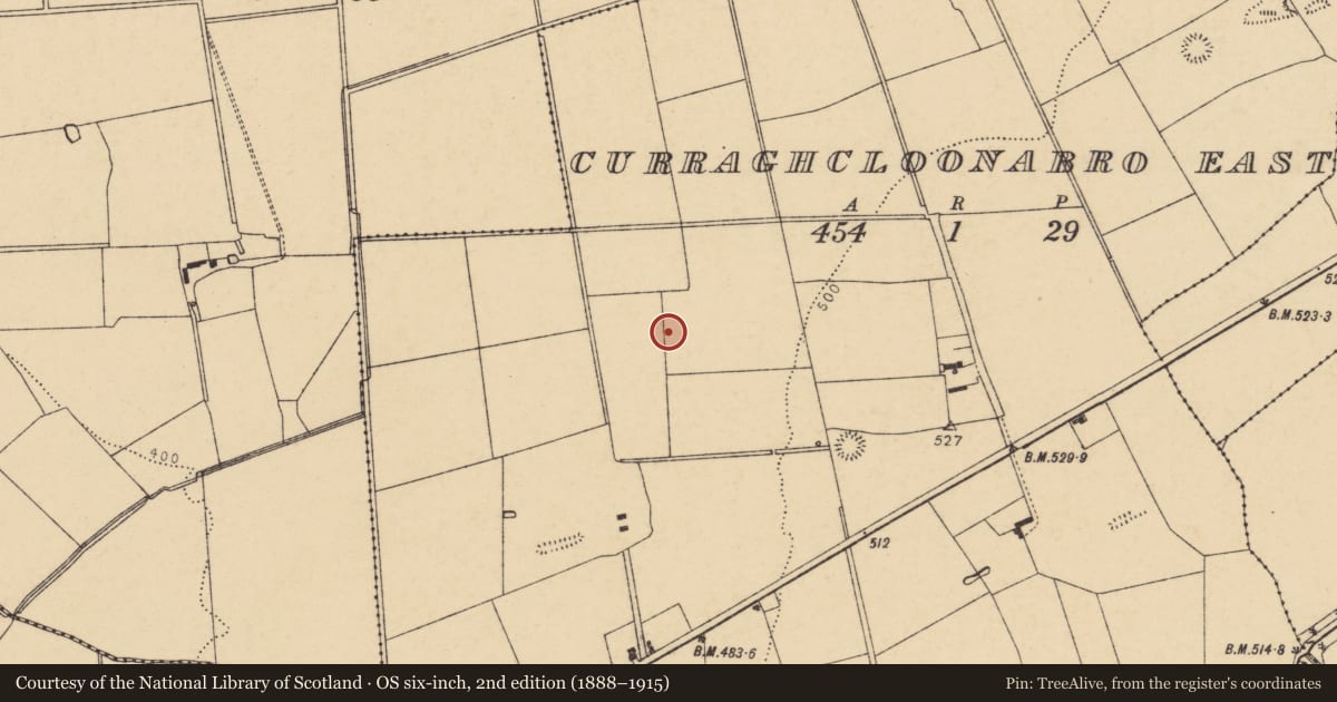 Ordnance Survey six-inch map, 2nd edition (1888–1915) covering the location of Fulacht fia, Curraghcloonabro East, County Cork, with a pin at the register's coordinates