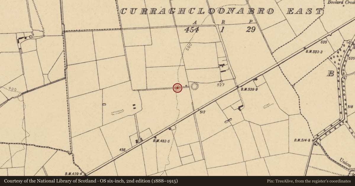 Ordnance Survey six-inch map, 2nd edition (1888–1915) covering the location of Fulacht fia, Curraghcloonabro East, County Cork, with a pin at the register's coordinates