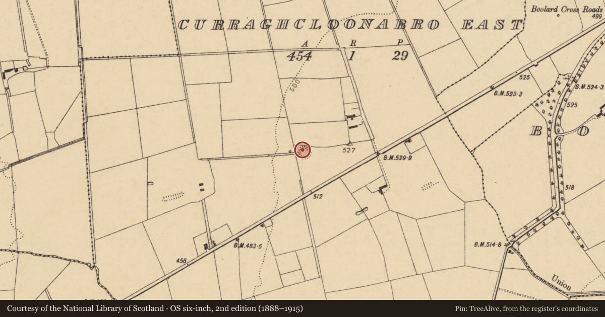 Ordnance Survey six-inch map, 2nd edition (1888–1915) covering the location of Ringfort - rath, Curraghcloonabro East, County Cork, with a pin at the register's coordinates