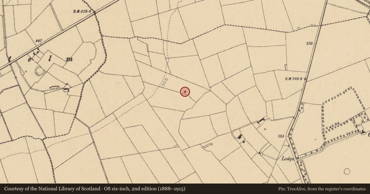 Ordnance Survey six-inch map, 2nd edition (1888–1915) covering the location of Fulacht fia, Killabraher North, County Cork, with a pin at the register's coordinates