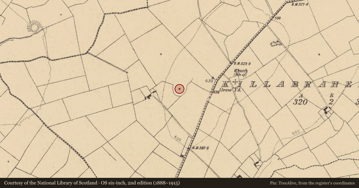 Ordnance Survey six-inch map, 2nd edition (1888–1915) covering the location of Ringfort - rath, Killabraher North, County Cork, with a pin at the register's coordinates