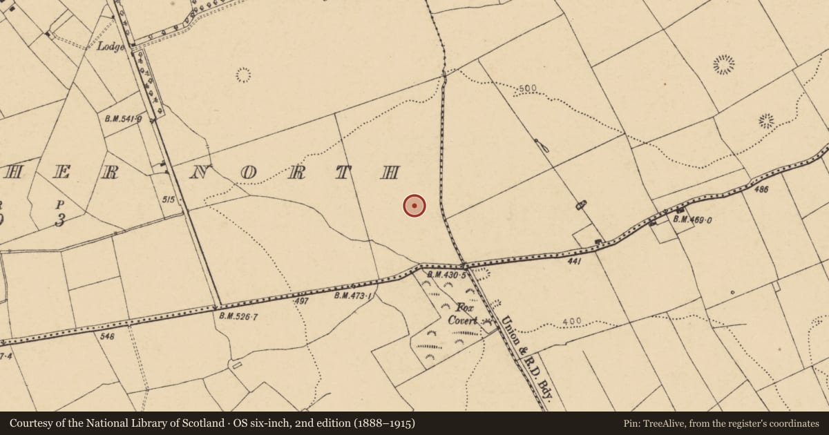 Ordnance Survey six-inch map, 2nd edition (1888–1915) covering the location of Fulacht fia, Killabraher North, County Cork, with a pin at the register's coordinates