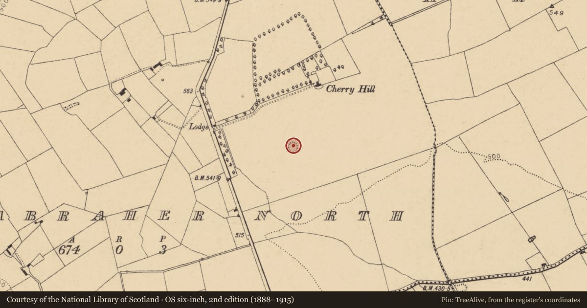 Ordnance Survey six-inch map, 2nd edition (1888–1915) covering the location of Ringfort - rath, Killabraher North, County Cork, with a pin at the register's coordinates
