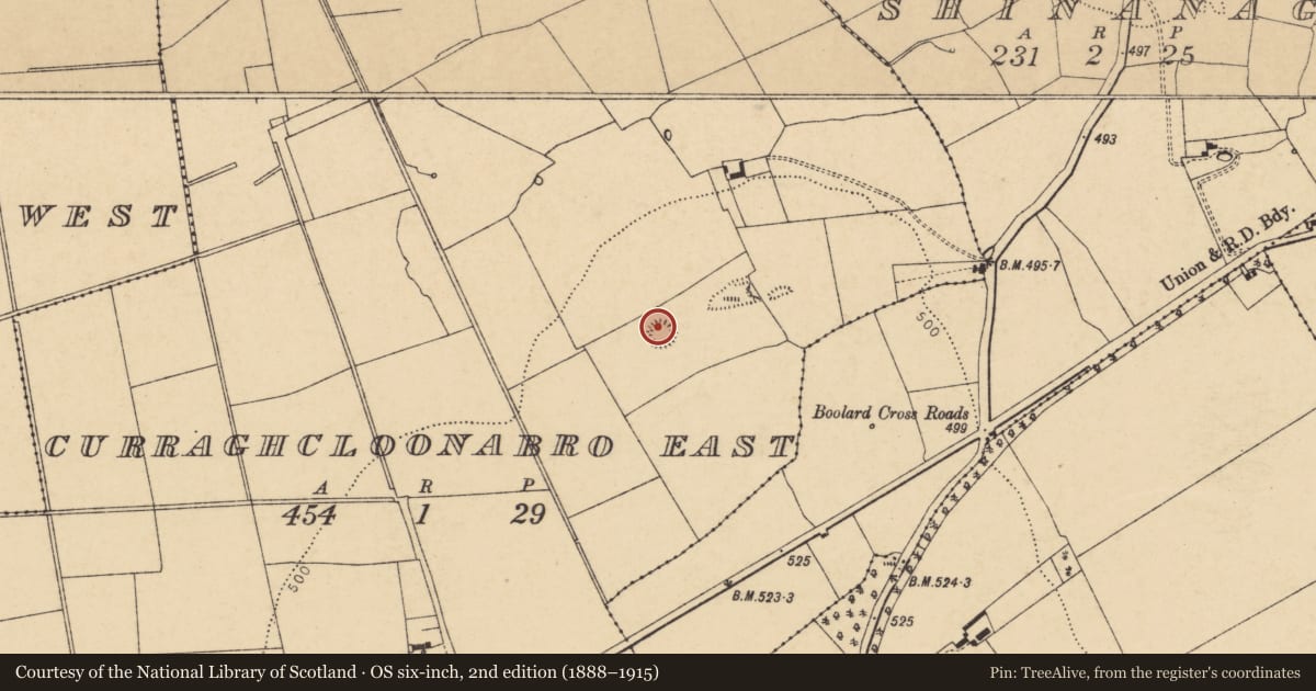 Ordnance Survey six-inch map, 2nd edition (1888–1915) covering the location of Ringfort - rath, Curraghcloonabro East, County Cork, with a pin at the register's coordinates