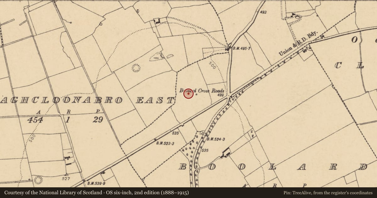 Ordnance Survey six-inch map, 2nd edition (1888–1915) covering the location of Fulacht fia, Shinanagh, County Cork, with a pin at the register's coordinates