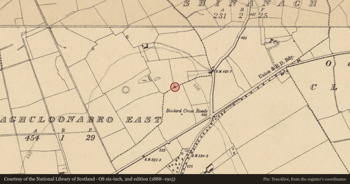 Ordnance Survey six-inch map, 2nd edition (1888–1915) covering the location of Fulacht fia, Shinanagh, County Cork, with a pin at the register's coordinates