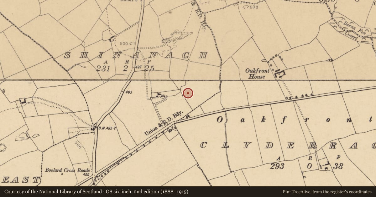 Ordnance Survey six-inch map, 2nd edition (1888–1915) covering the location of Fulacht fia, Shinanagh, County Cork, with a pin at the register's coordinates