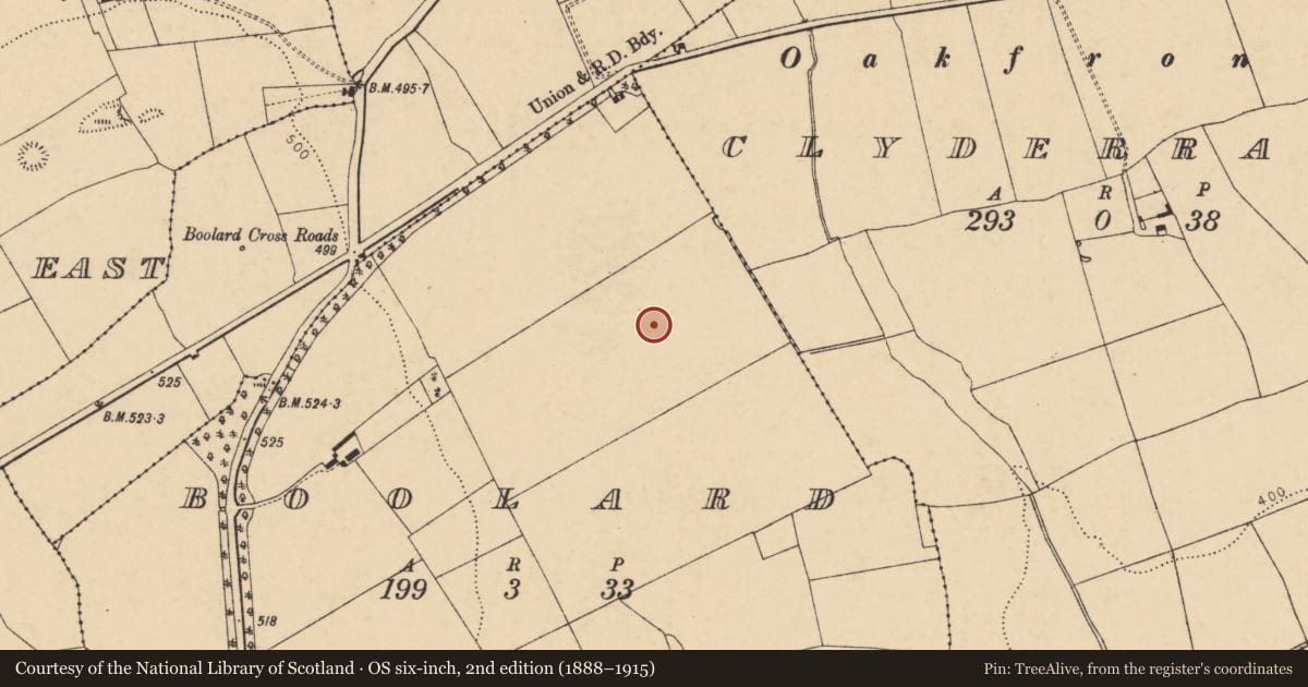 Ordnance Survey six-inch map, 2nd edition (1888–1915) covering the location of Ringfort - rath, Boolard, County Cork, with a pin at the register's coordinates