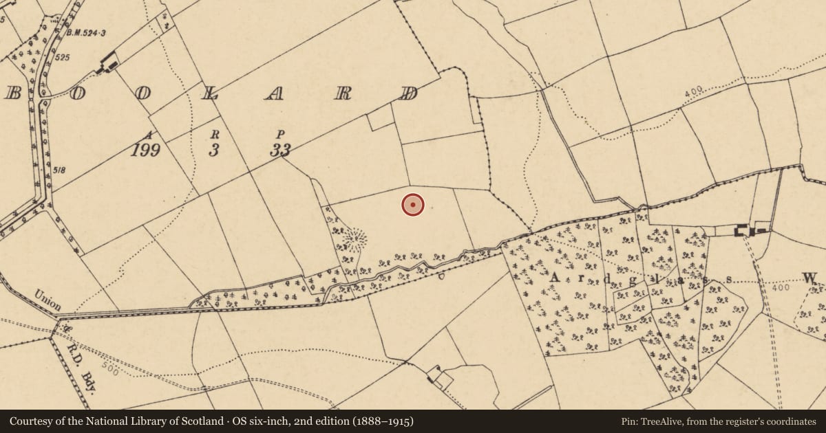 Ordnance Survey six-inch map, 2nd edition (1888–1915) covering the location of Ringfort - rath, Boolard, County Cork, with a pin at the register's coordinates
