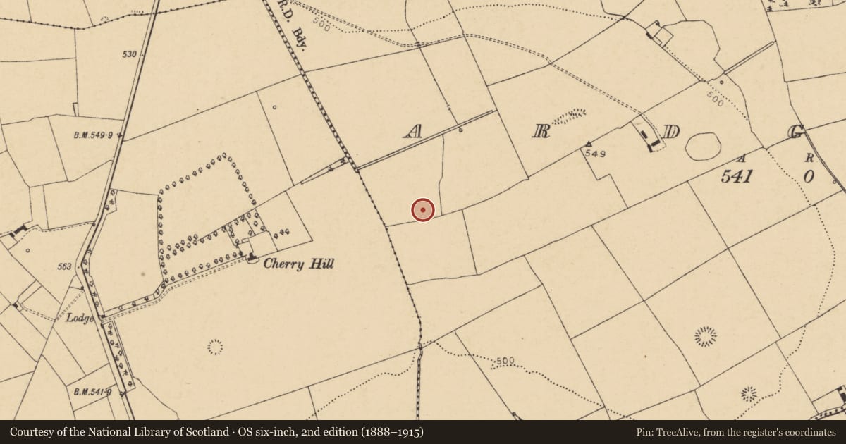 Ordnance Survey six-inch map, 2nd edition (1888–1915) covering the location of Fulacht fia, Ardglass (Orrery and Kilmore By., Shandrum Par.), County Cork, with a pin at the register's coordinates