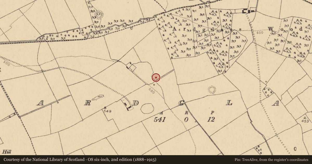 Ordnance Survey six-inch map, 2nd edition (1888–1915) covering the location of Fulacht fia, Ardglass (Orrery and Kilmore By., Shandrum Par.), County Cork, with a pin at the register's coordinates