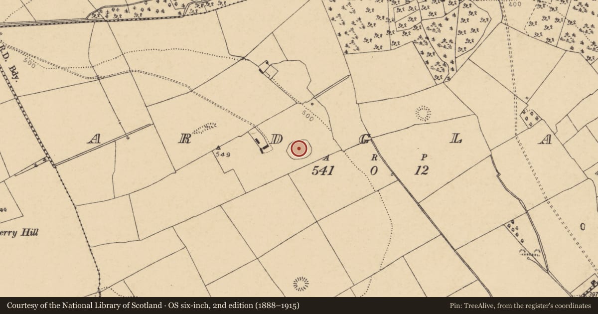 Ordnance Survey six-inch map, 2nd edition (1888–1915) covering the location of Enclosure, Ardglass (Orrery and Kilmore By., Shandrum Par.), County Cork, with a pin at the register's coordinates