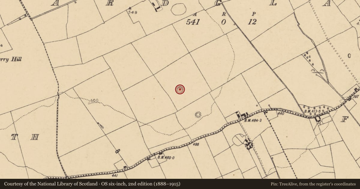 Ordnance Survey six-inch map, 2nd edition (1888–1915) covering the location of Ringfort - rath, Ardglass (Orrery and Kilmore By., Shandrum Par.), County Cork, with a pin at the register's coordinates