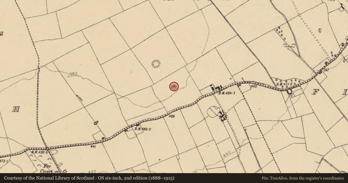 Ordnance Survey six-inch map, 2nd edition (1888–1915) covering the location of Ringfort - rath, Ardglass (Orrery and Kilmore By., Shandrum Par.), County Cork, with a pin at the register's coordinates