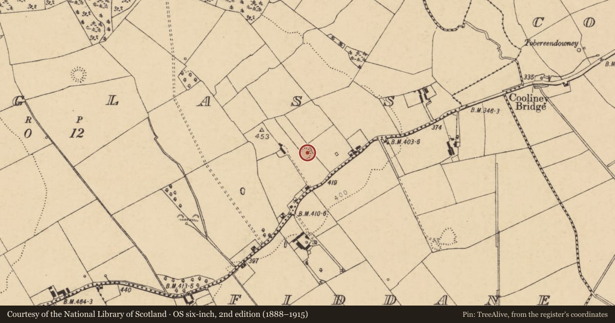 Ordnance Survey six-inch map, 2nd edition (1888–1915) covering the location of Ringfort - rath, Ardglass (orrery And Kilmore By., Shandrum Par.), County Cork, with a pin at the register's coordinates