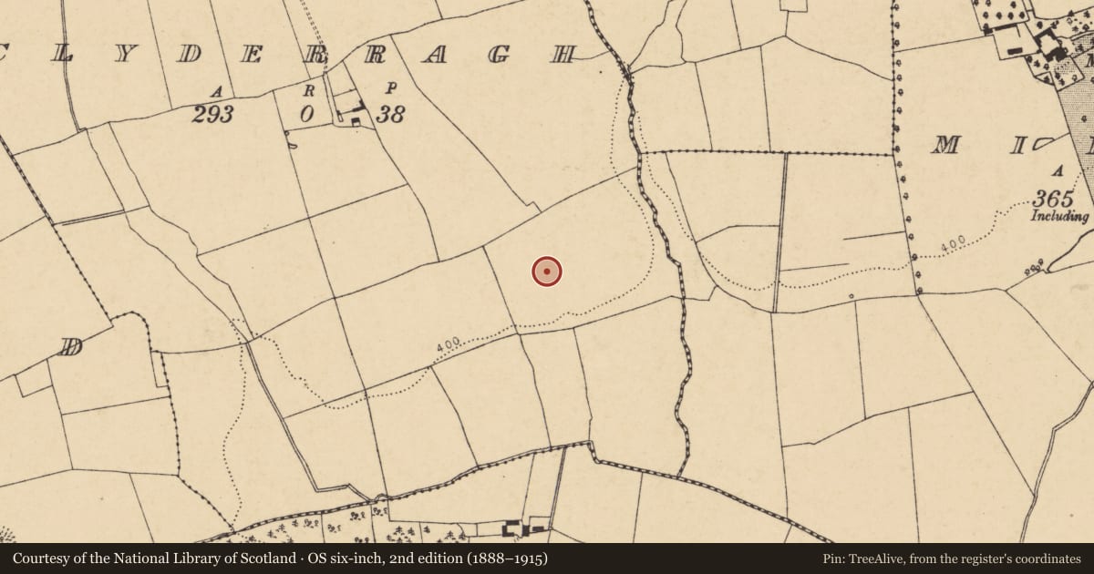 Ordnance Survey six-inch map, 2nd edition (1888–1915) covering the location of Ringfort - rath, Clyderragh, County Cork, with a pin at the register's coordinates