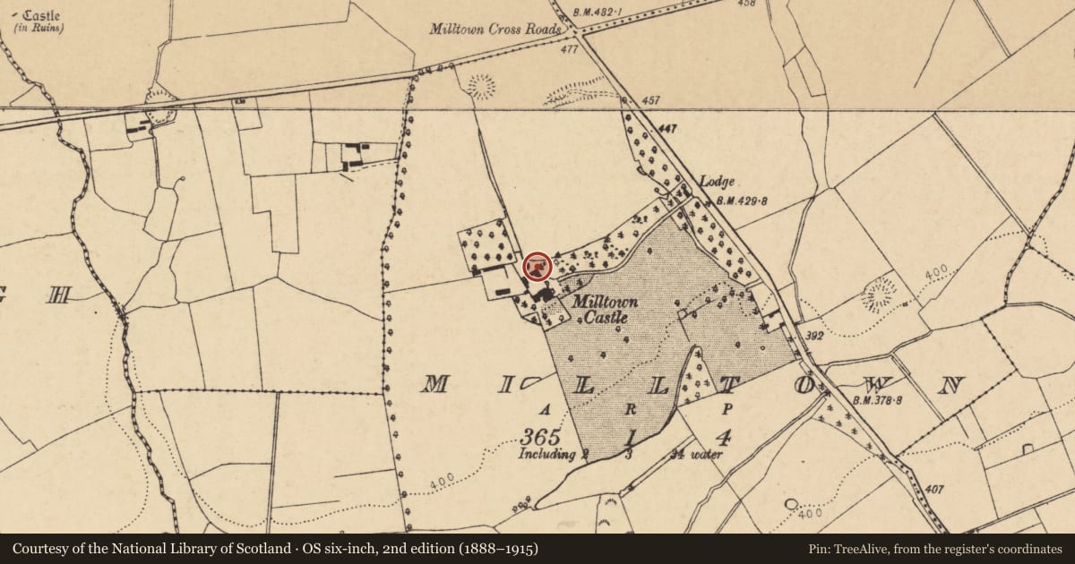 Ordnance Survey six-inch map, 2nd edition (1888–1915) covering the location of Stone sculpture, Milltown, County Cork, with a pin at the register's coordinates