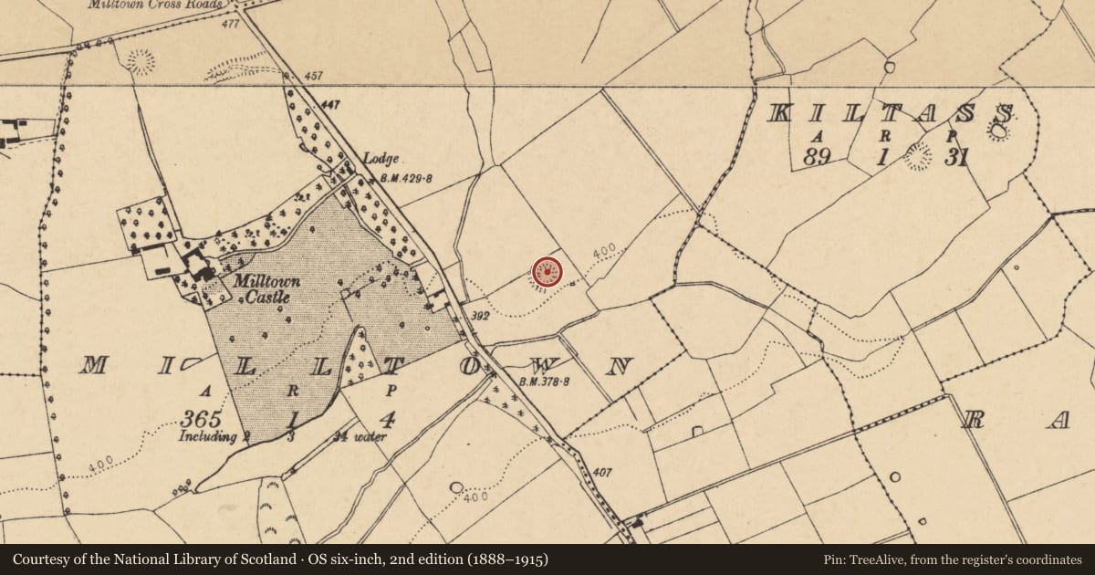 Ordnance Survey six-inch map, 2nd edition (1888–1915) covering the location of Ringfort - rath, Milltown, County Cork, with a pin at the register's coordinates