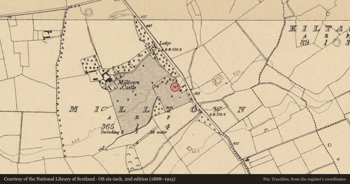 Ordnance Survey six-inch map, 2nd edition (1888–1915) covering the location of Canal, Milltown, County Cork, with a pin at the register's coordinates