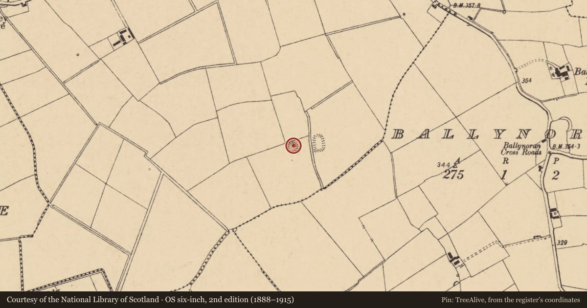 Ordnance Survey six-inch map, 2nd edition (1888–1915) covering the location of Ringfort - rath, Cooliney, County Cork, with a pin at the register's coordinates