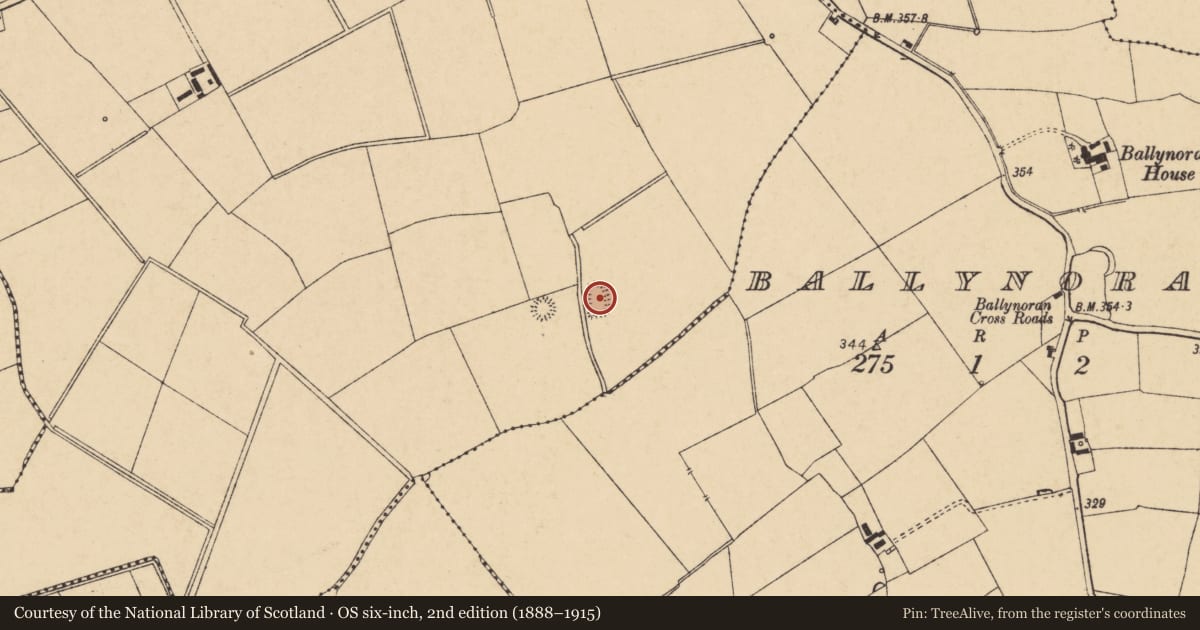 Ordnance Survey six-inch map, 2nd edition (1888–1915) covering the location of Moated site, Cooliney, County Cork, with a pin at the register's coordinates
