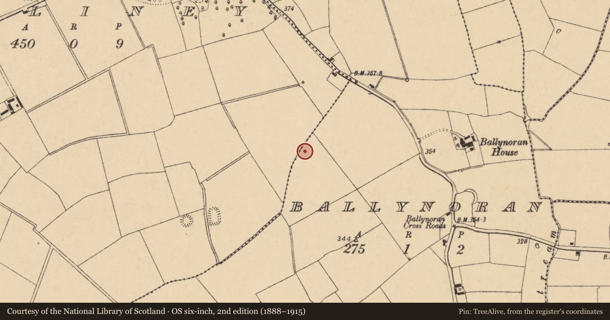 Ordnance Survey six-inch map, 2nd edition (1888–1915) covering the location of Earthwork, Ballynoran, County Cork, with a pin at the register's coordinates