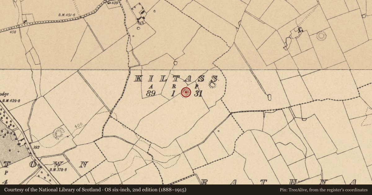 Ordnance Survey six-inch map, 2nd edition (1888–1915) covering the location of Ringfort - rath, Kiltass, County Cork, with a pin at the register's coordinates