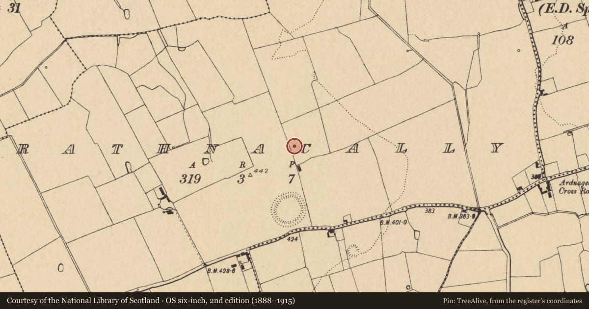 Ordnance Survey six-inch map, 2nd edition (1888–1915) covering the location of Ringfort - rath, Rathnacally, County Cork, with a pin at the register's coordinates