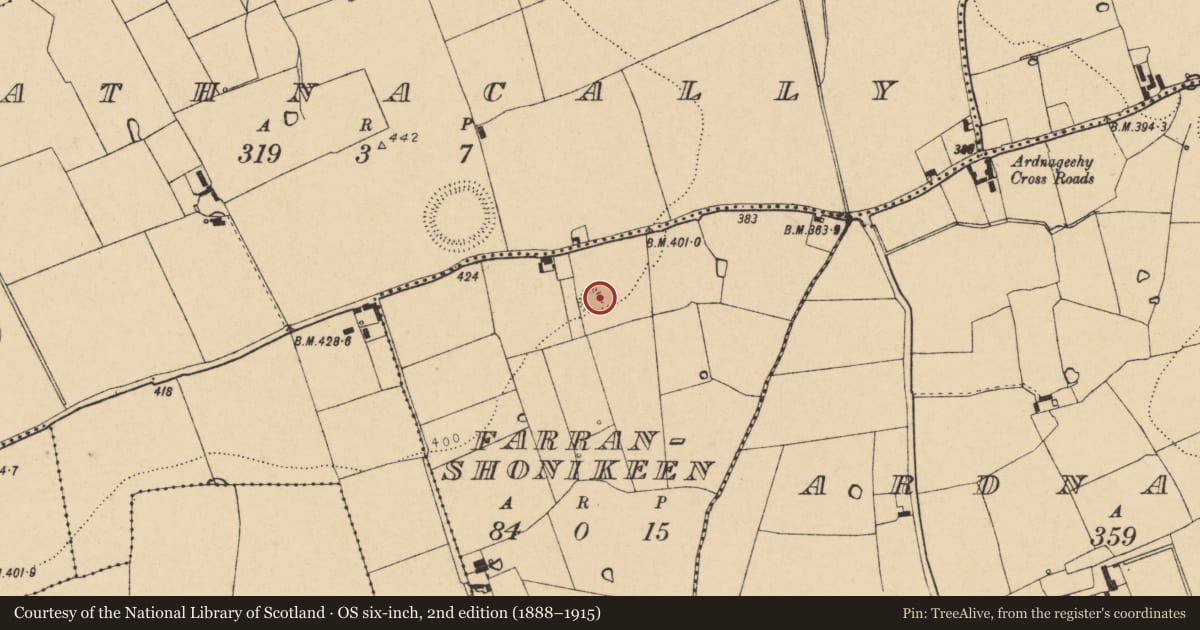 Ordnance Survey six-inch map, 2nd edition (1888–1915) covering the location of Ringfort - rath, Farranshonikeen, County Cork, with a pin at the register's coordinates