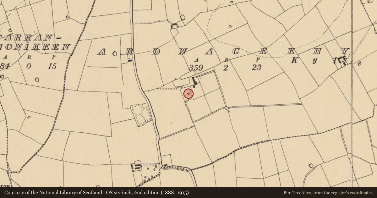 Ordnance Survey six-inch map, 2nd edition (1888–1915) covering the location of Moated site, Ardnageehy, County Cork, with a pin at the register's coordinates
