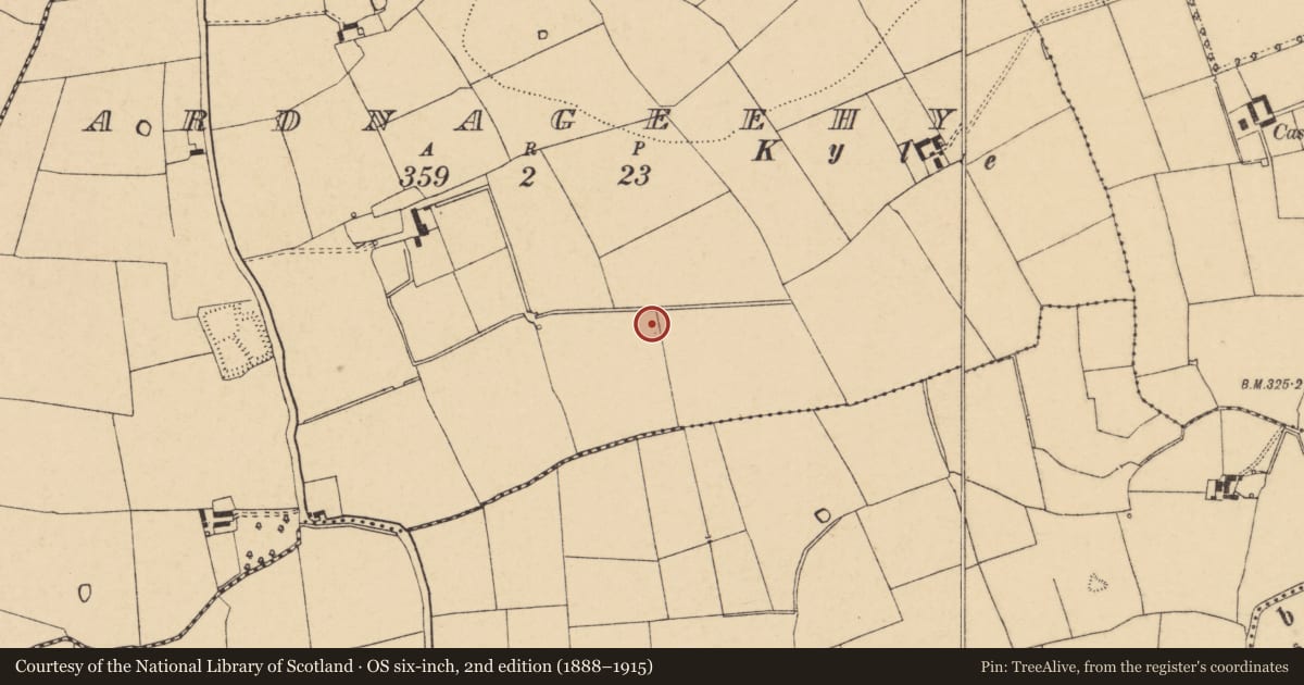Ordnance Survey six-inch map, 2nd edition (1888–1915) covering the location of Barrow - ring-barrow, Ardnageehy, County Cork, with a pin at the register's coordinates