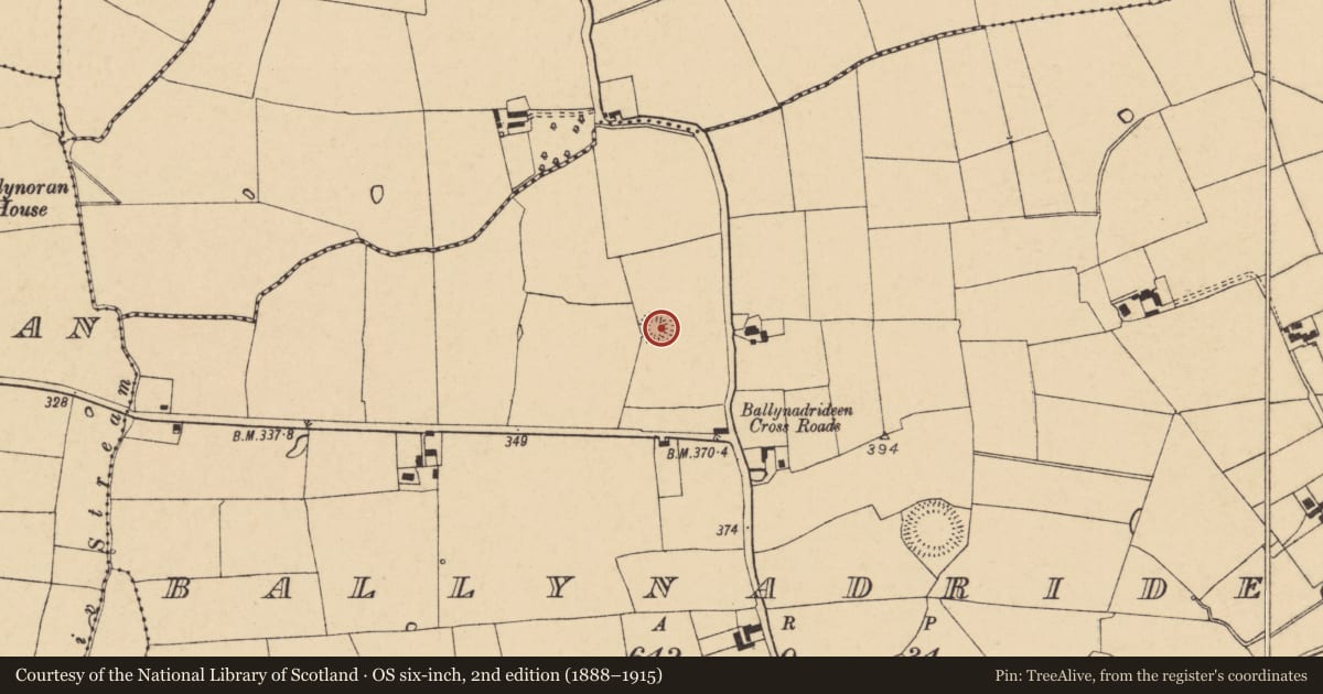 Ordnance Survey six-inch map, 2nd edition (1888–1915) covering the location of Ringfort - rath, Ballynadrideen, County Cork, with a pin at the register's coordinates