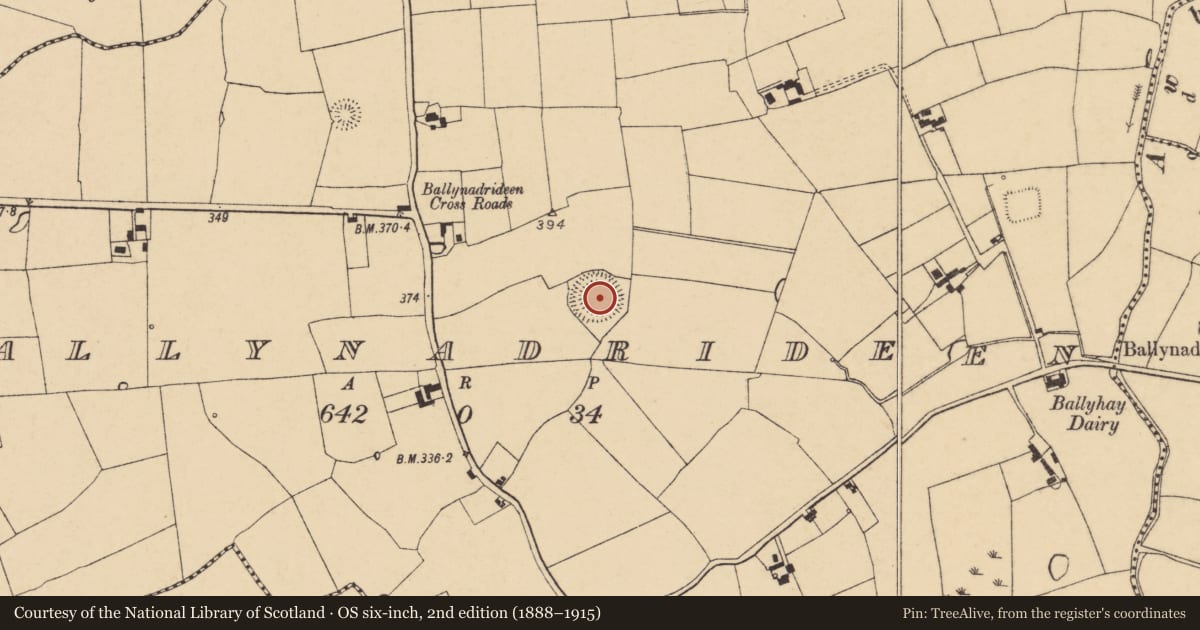 Ordnance Survey six-inch map, 2nd edition (1888–1915) covering the location of Ringfort - rath, Ballynadrideen, County Cork, with a pin at the register's coordinates