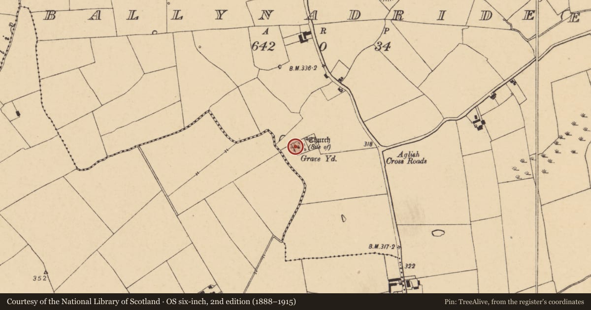 Ordnance Survey six-inch map, 2nd edition (1888–1915) covering the location of Church, Ballynadrideen, County Cork, with a pin at the register's coordinates