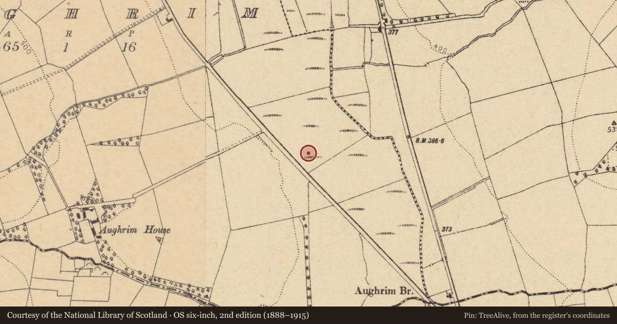 Ordnance Survey six-inch map, 2nd edition (1888–1915) covering the location of Fulacht fia, Aughrim, County Cork, with a pin at the register's coordinates