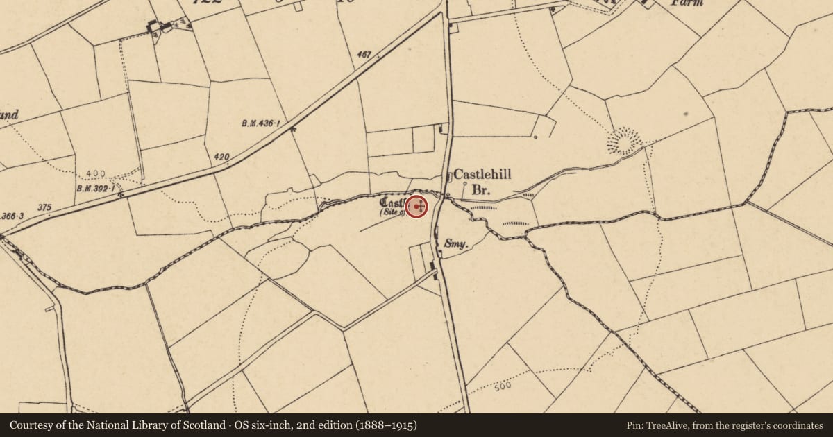 Ordnance Survey six-inch map, 2nd edition (1888–1915) covering the location of Castle - unclassified, Teeveeny, County Cork, with a pin at the register's coordinates