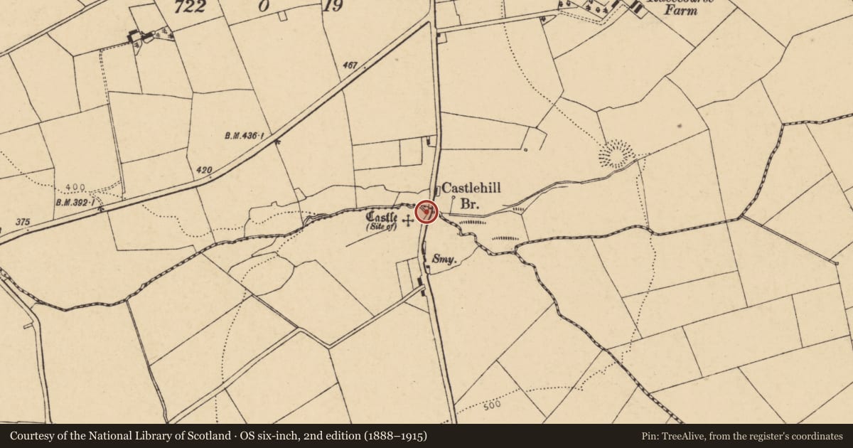 Ordnance Survey six-inch map, 2nd edition (1888–1915) covering the location of Bridge, Teeveeny, County Cork, with a pin at the register's coordinates