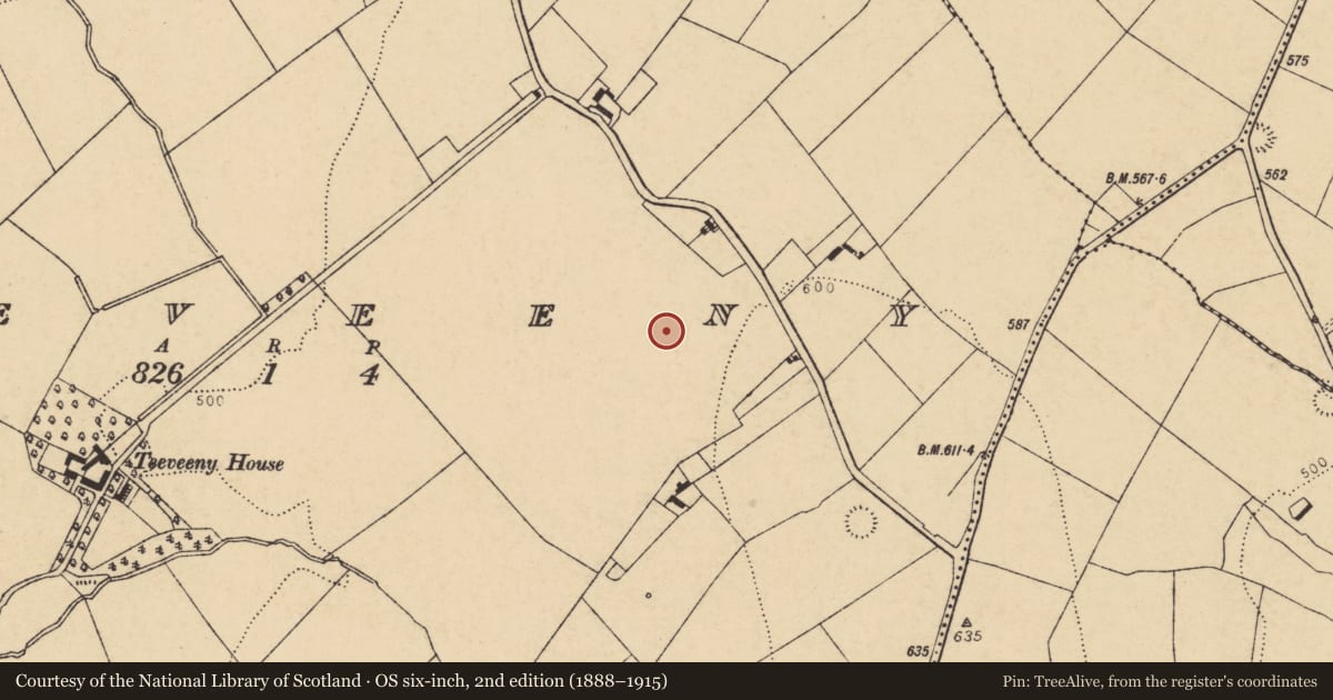 Ordnance Survey six-inch map, 2nd edition (1888–1915) covering the location of Standing stone, Teeveeny, County Cork, with a pin at the register's coordinates