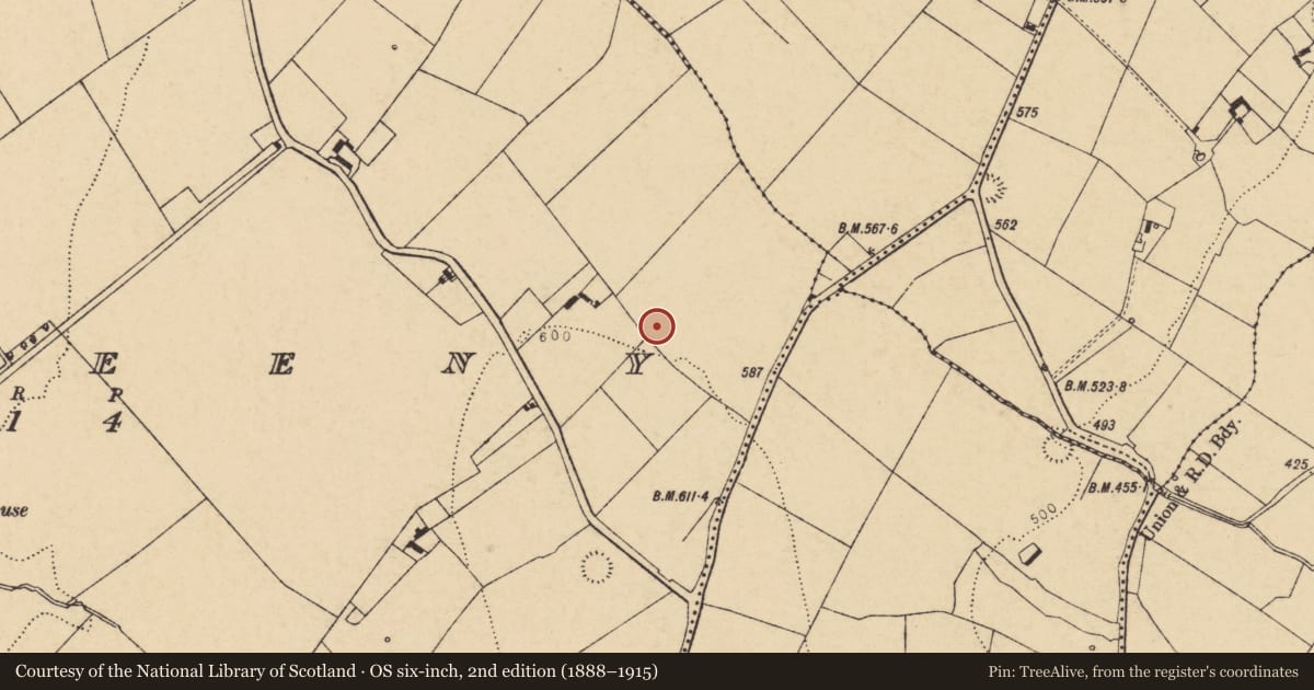 Ordnance Survey six-inch map, 2nd edition (1888–1915) covering the location of Fulacht fia, Teeveeny, County Cork, with a pin at the register's coordinates