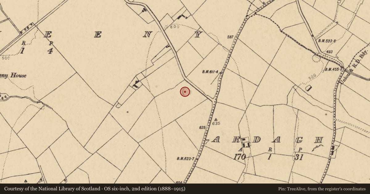 Ordnance Survey six-inch map, 2nd edition (1888–1915) covering the location of Ringfort - rath, Teeveeny, County Cork, with a pin at the register's coordinates