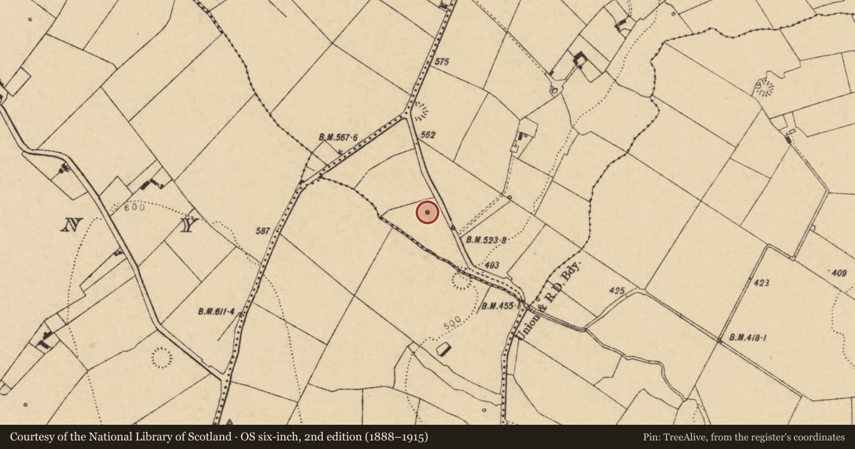 Ordnance Survey six-inch map, 2nd edition (1888–1915) covering the location of Fulacht fia, Killabraher South, County Cork, with a pin at the register's coordinates