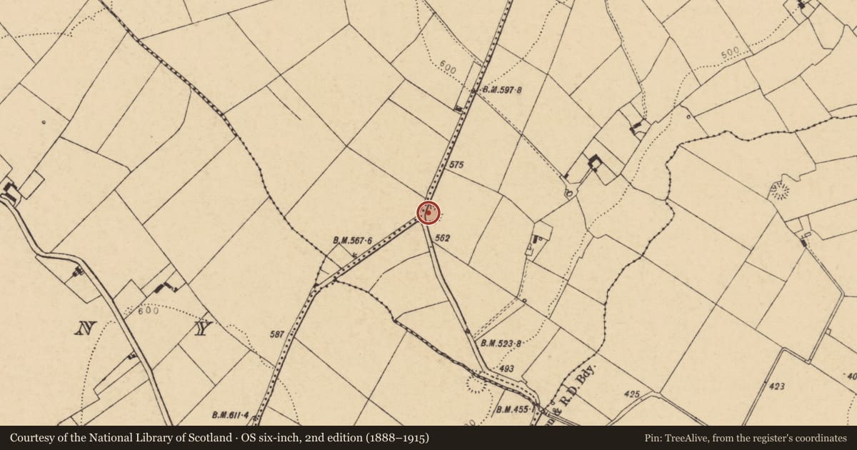 Ordnance Survey six-inch map, 2nd edition (1888–1915) covering the location of Ringfort - rath, Killabraher South, County Cork, with a pin at the register's coordinates