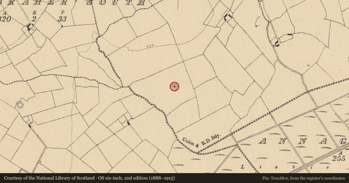 Ordnance Survey six-inch map, 2nd edition (1888–1915) covering the location of Ringfort - rath, Cloonkeen, County Cork, with a pin at the register's coordinates