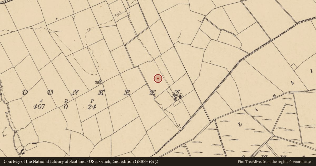 Ordnance Survey six-inch map, 2nd edition (1888–1915) covering the location of Barrow - ring-barrow, Cloonkeen, County Cork, with a pin at the register's coordinates